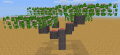 Screenshot Acacia Trees.png