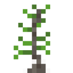 Acacia Tree Sapling.png