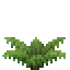 Fern 3.png