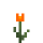 Orange Tulip.png