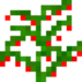 Berries Plant.png