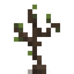 Sapling.png