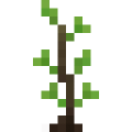 Aspen Tree Sapling.png