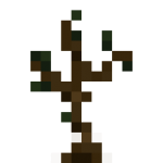 Jungle Sapling.png