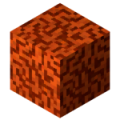 Orange Coral.png